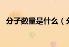 分子數(shù)量是什么（分子的數(shù)量級(jí)什么意思）