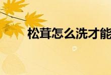 松茸怎么洗才能干凈（松茸怎么洗）