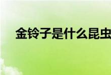 金鈴子是什么昆蟲（金鈴子長(zhǎng)什么樣子）