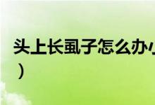 頭上長虱子怎么辦小妙招（頭上長虱子怎么辦）