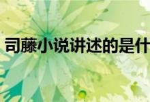 司藤小說講述的是什么故事（司藤小說介紹）