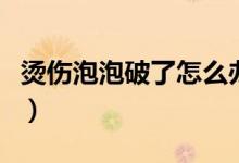 燙傷泡泡破了怎么辦(燙傷泡泡破了怎么處理)