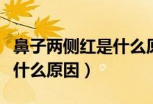 鼻子兩側紅是什么原因引起的（鼻子兩側紅是什么原因）
