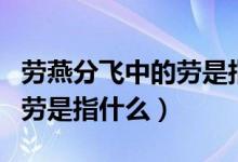 勞燕分飛中的勞是指什么意思（勞燕分飛中的勞是指什么）