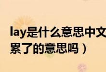 lay是什么意思中文翻譯動(dòng)詞意思（我lay了是累了的意思嗎）