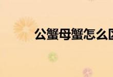 公蟹母蟹怎么區(qū)分(公蟹有膏嗎)