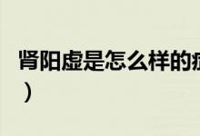 腎陽(yáng)虛是怎么樣的癥狀（腎陽(yáng)虛是怎么造成的）