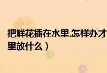 把鮮花插在水里,怎樣辦才能保鮮時間長（鮮插花怎樣保鮮水里放什么）