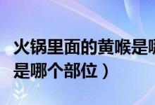 火鍋里面的黃喉是哪個(gè)部位（火鍋里面的黃喉是哪個(gè)部位）