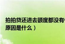 拍拍貸還進去額度都沒有什么原因（拍拍貸有額度借不出來原因是什么）