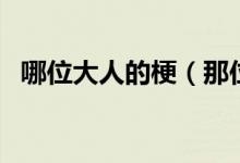 哪位大人的梗（那位大人會(huì)來(lái)嗎是什么梗）