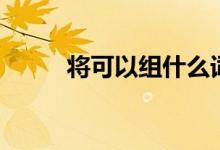 將可以組什么詞（將字怎么組詞）
