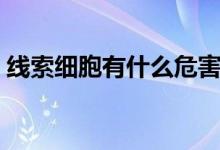 線索細胞有什么危害（萬一出現(xiàn)后果很嚴重）