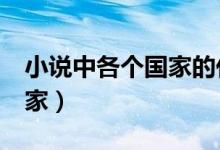 小說中各個(gè)國家的代稱（小說中a國是哪個(gè)國家）
