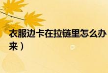 衣服邊卡在拉鏈里怎么辦（衣服卡在拉鏈里面怎樣才能弄出來(lái)）