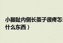 小腳趾內(nèi)側(cè)長繭子很疼怎么回事（小腳趾外側(cè)長繭子很疼是什么東西）