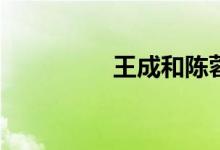 王成和陳蓉是什么小說？