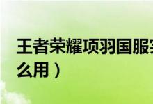 王者榮耀項羽國服實戰(zhàn)（王者榮耀心悅g分怎么用）