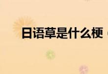 日語草是什么梗（日語草是什么意思）