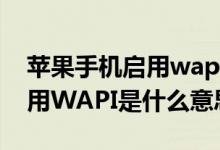 蘋果手機(jī)啟用wapi是什么東西（蘋果手機(jī)啟用WAPI是什么意思）