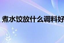 煮水餃放什么調料好吃（煮水餃放什么調料）