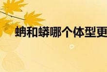 蚺和蟒哪個(gè)體型更大（蚺和蟒哪個(gè)更長(zhǎng)）