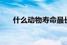 什么動物壽命最長（壽命最長的動物）