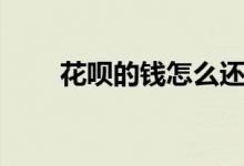 花唄的錢(qián)怎么還（花唄的錢(qián)能用嗎）