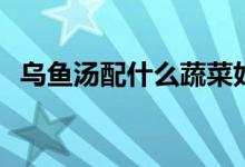 烏魚湯配什么蔬菜好吃（網(wǎng)約tp什么意思）