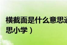 橫截面是什么意思通俗易懂（橫截面是什么意思小學）
