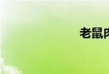 老鼠肉能吃嗎？