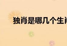獨肖是哪幾個生肖（獨肖是什么動物）