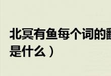 北冥有魚每個詞的翻譯（北冥有魚的意思翻譯是什么）