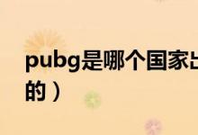 pubg是哪個(gè)國家出品的（pubg是哪個(gè)國家的）