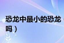 恐龍中最小的恐龍(鼠龍是世界上最小的恐龍嗎)