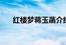 紅樓夢蔣玉菡介紹（他的資料是什么）