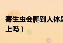 寄生蟲會(huì)爬到人體里面嗎（跳蟲會(huì)寄生在人身上嗎）
