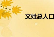 文姓總?cè)丝冢ㄎ男盏挠蓙?lái)）