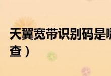天翼寬帶識(shí)別碼是哪個(gè)（天翼寬帶識(shí)別碼怎么查）