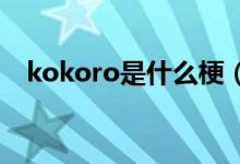 kokoro是什么梗（kokodayo是什么梗）