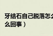 牙結(jié)石自己脫落怎么處理（牙結(jié)石自己脫落怎么回事）