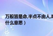萬般皆是命,半點(diǎn)不由人,唯有自渡(萬般皆是命唯有人自渡什么意思)
