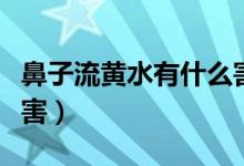 鼻子流黃水有什么害處（鼻子流黃水有什么危害）