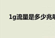1g流量是多少兆呢（1G流量是多少兆）