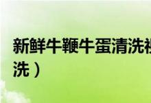 新鮮牛鞭牛蛋清洗視頻教程（牛鞭牛蛋怎么清洗）