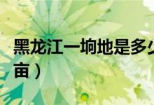 黑龍江一坰地是多少畝（黑龍江一坰地是多少畝）