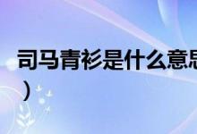 司馬青衫是什么意思馬（司馬青衫是什么意思）