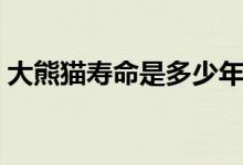 大熊貓壽命是多少年（大熊貓壽命是多少年）