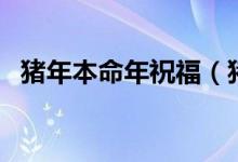 豬年本命年祝福（豬年本命年祝福的話語）