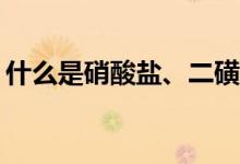 什么是硝酸鹽、二磺酸鹽和三磺酸鹽的木炭？